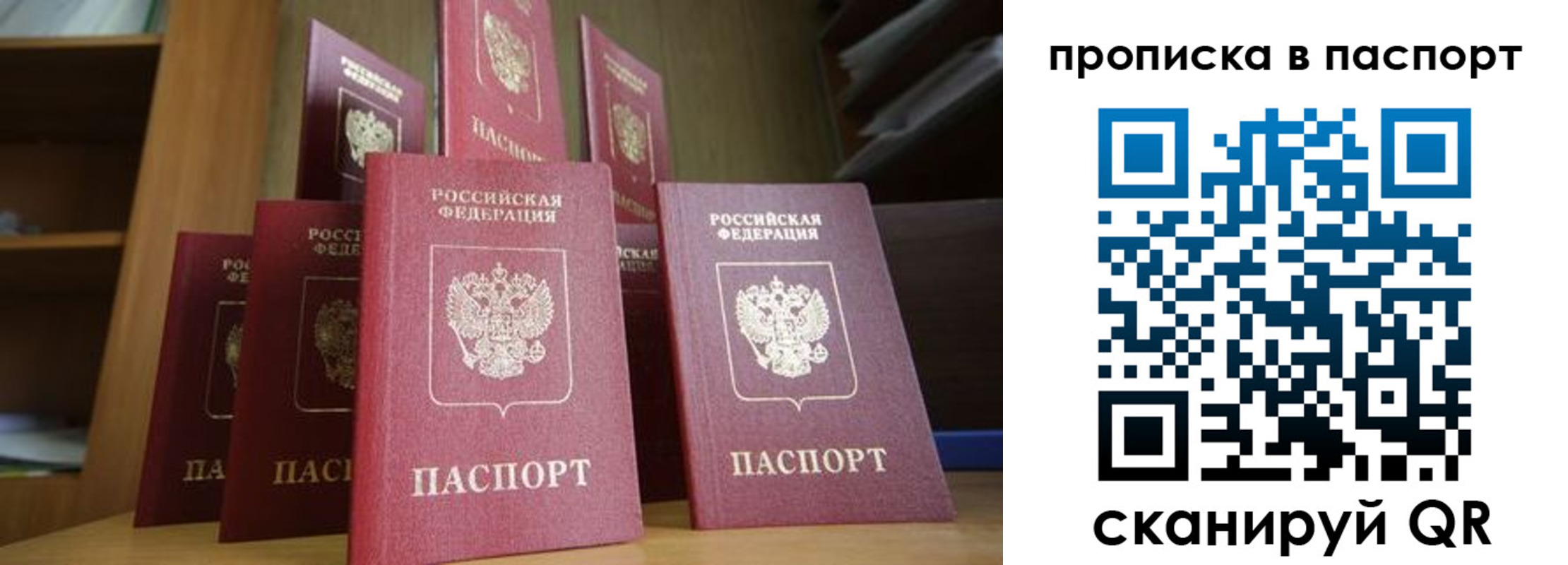 прописка законно в Ясном